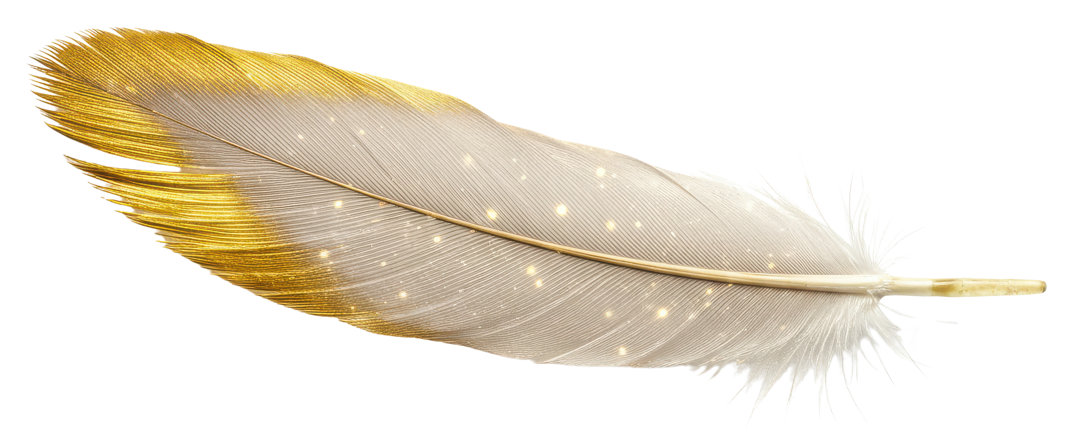 Feather